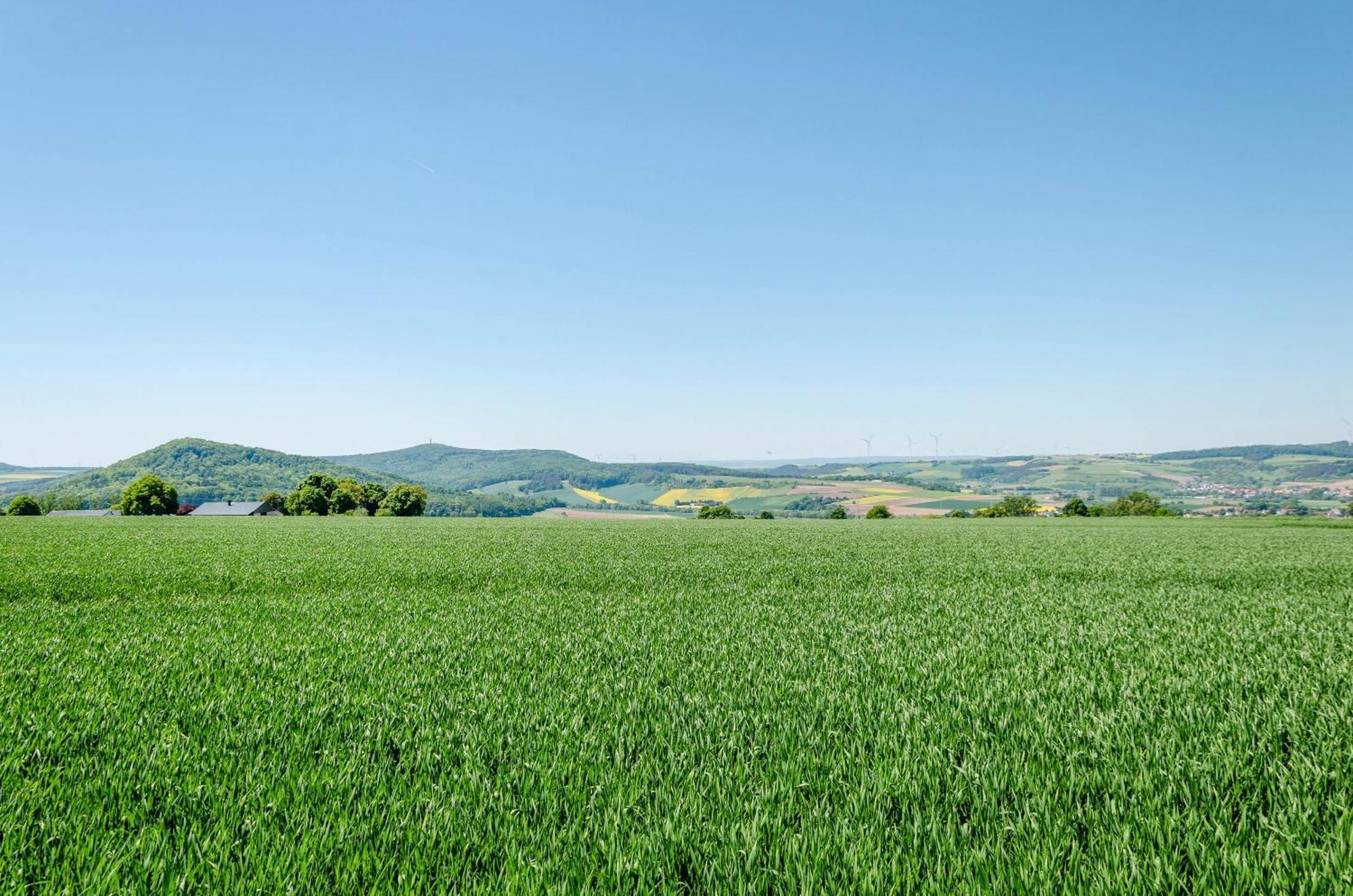 Ferienwohnung Landleben Hofgeismar Bagian luar foto