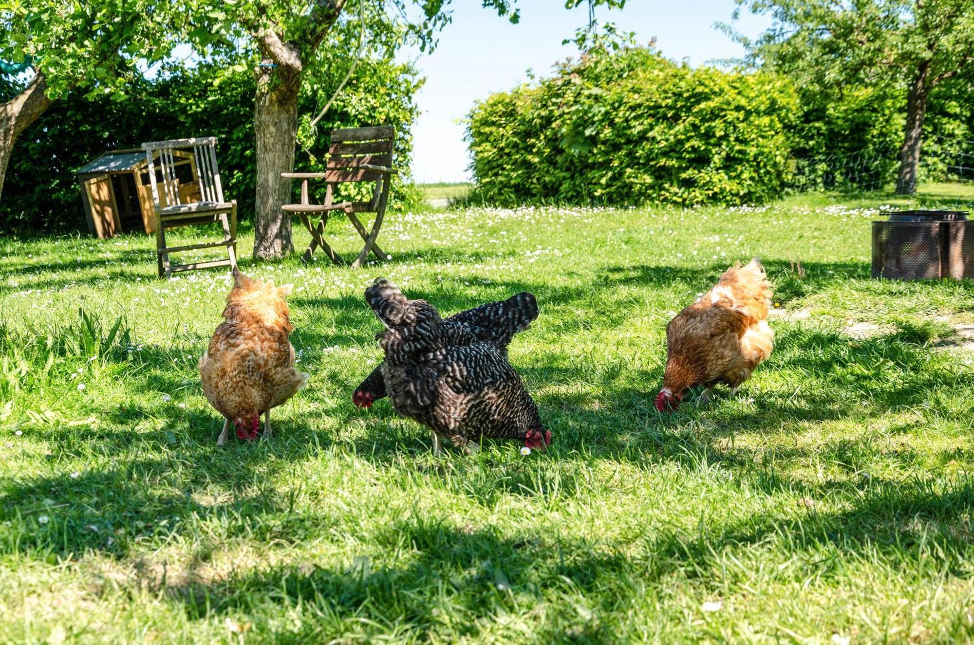 Ferienwohnung Landleben Hofgeismar Bagian luar foto
