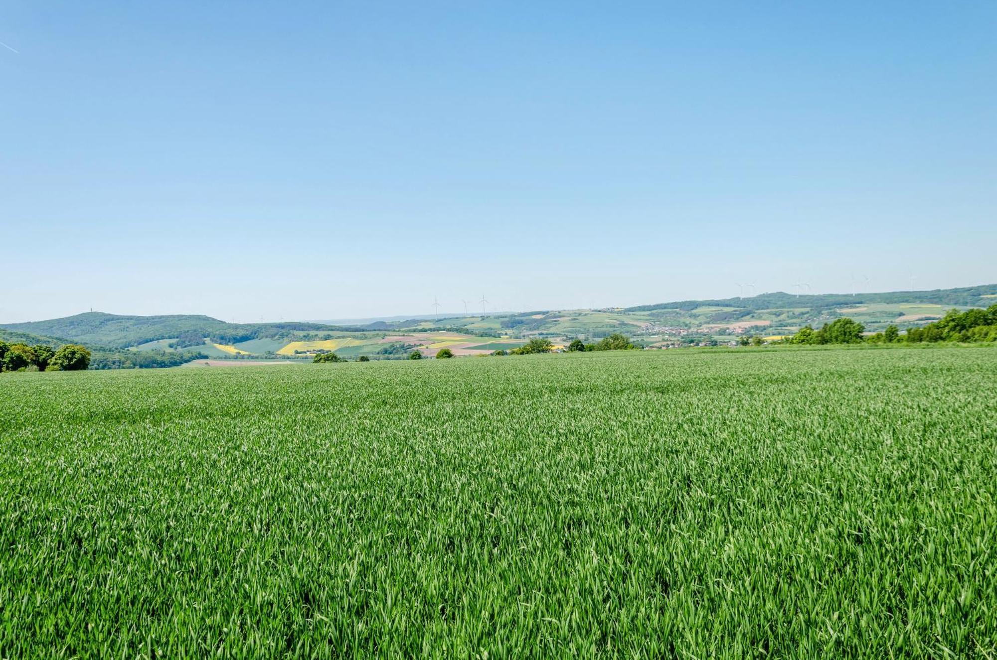 Ferienwohnung Landleben Hofgeismar Bagian luar foto