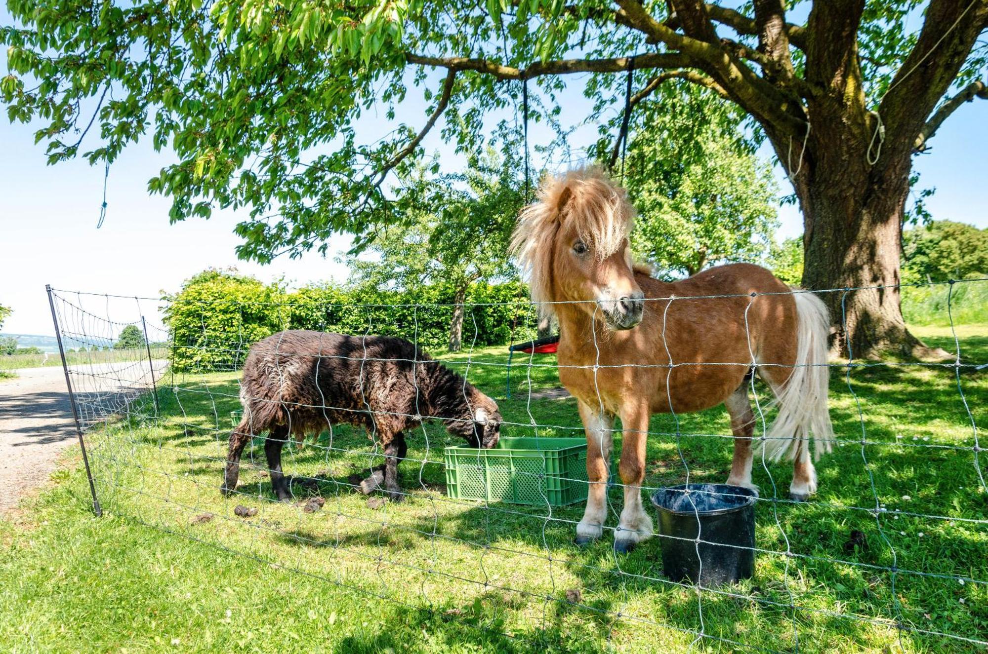 Ferienwohnung Landleben Hofgeismar Bagian luar foto